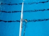 999-hoch-595
