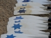 Skifftag-1846