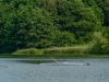 Stadtachter-010