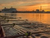Early-Bird-010