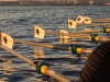 Early-Bird-015
