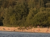 Hochbetrieb am Ostuferstrand