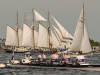 KiWo-Windjammer-118