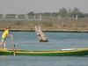 Rudern-Venedig-010