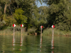 Bodensee-142