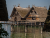 Bodensee-174