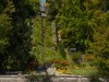 Bodensee-178