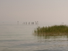 Bodensee-208