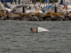 Kiel-Coastal-25-253