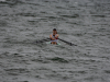 Kiel-Coastal-25-275