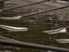 Hamburg-156