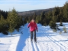 Harz 018.JPG