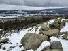 harz-104