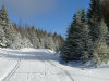 harz-107