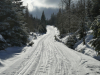 harz-118