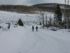 harz-119