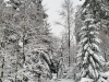 IMG-20250110-WA0004