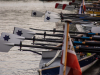 Holland-213