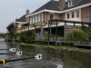 Holland-262