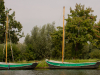 Holland-269