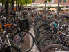Holland-275