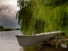 Holland-287