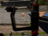 Holland-290