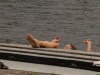 Holland-291