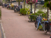 Holland-363