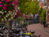 Holland-365