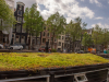 Holland-370