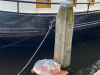 Holland-372