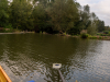 Lahn-181