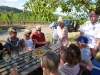 13 Weinprobe im Weinberg