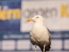 RGK-Impressionen-022