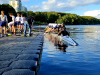 20250913_172224-Kopie