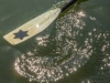 Skifftag-514