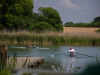 Skifftag-530