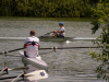 Skifftag-221
