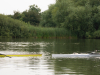 Skifftag-109