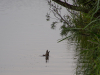 Skifftag-110
