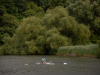 Skifftag-134
