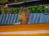 Skifftag-144