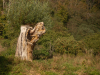 NaherOsten-147