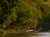 NaherOsten-176