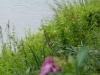 Weser-114