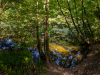 Westensee-556