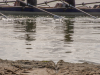 westensee-144