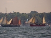 Windjammer-516