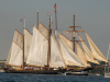 Windjammer-230
